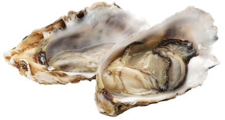 Oesters